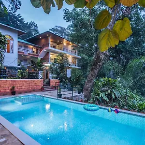 Spice Jungle *** Munnar